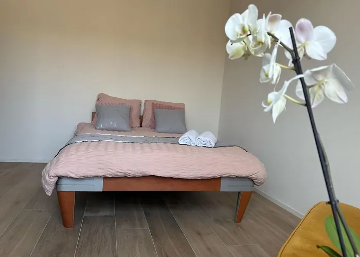 Séjour chez l'habitant Tamara Bréda